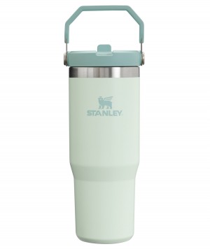 Stanley The IceFlow Flip Straw Tumbler | 30 OZ | Insulated Water Mist | LZE956217