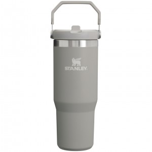 Stanley The IceFlow Flip Straw Tumbler | 30 OZ | Insulated Water Ash | KRJ216379