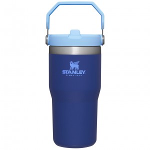 Stanley The IceFlow Flip Straw Tumbler | 20 OZ | Insulated Water Tumbler | Sta Lapis | XOS309752