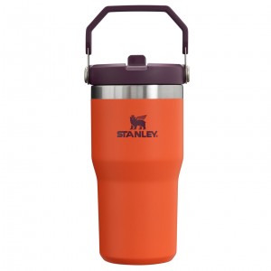 Stanley The IceFlow Flip Straw Tumbler | 20 OZ | Insulated Vody Bottle Tigerlily Plum | KJQ147920