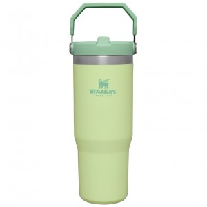 Stanley The IceFlow Flip Straw Tumbler | 30 OZ | Insulated Water Citron | DXS826591