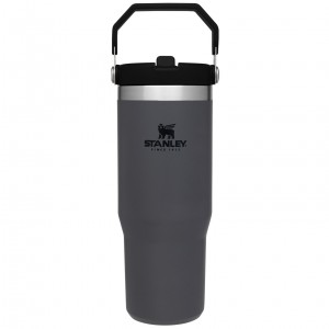 Stanley The IceFlow Flip Straw Tumbler | 30 OZ | Insulated Water Charcoal | ADX840362