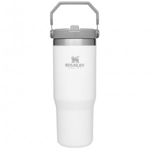 Stanley The IceFlow Flip Straw Tumbler | 30 OZ | Insulated Water Polar | JSA970438