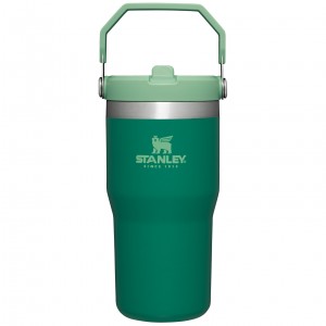 Stanley The IceFlow Flip Straw Tumbler | 20 OZ | Insulated Water Tumbler | Sta Alpine | DKM805391