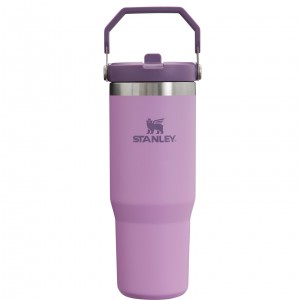 Stanley The IceFlow Flip Straw Tumbler | 30 OZ | Insulated Water Lilac | ADP091645