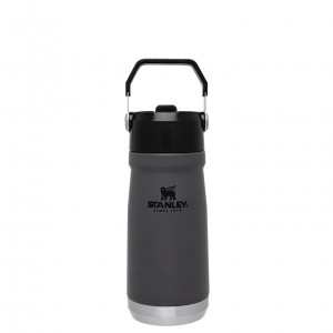 Stanley The IceFlow Flip Straw Water Bottle | 17 OZ | Insulated Bottle | Stanl Charcoal | PKH216745