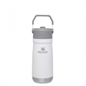Stanley The IceFlow Flip Straw Water Bottle | 17 OZ | Insulated Bottle | Stanl Polar | NPI481762