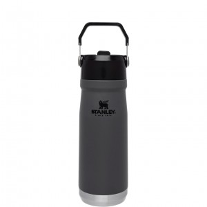 Stanley The IceFlow Flip Straw Water Bottle | 22 OZ | Insulated Bottle | Stanl Charcoal | NQZ762549