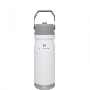 Stanley The IceFlow Flip Straw Water Bottle | 22 OZ | Insulated Bottle | Stanl Polar | NFQ653049