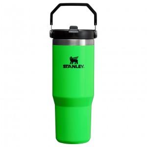 Stanley The Neon IceFlow™ Flip Straw Tumbler | 30 OZ - Stanley Create Zelene | ZCH502746