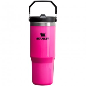 Stanley The Neon IceFlow™ Flip Straw Tumbler | 30 OZ Růžové | BKL480763