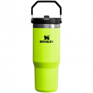 Stanley The Neon IceFlow™ Flip Straw Tumbler | 30 OZ Žluté | QJS471685
