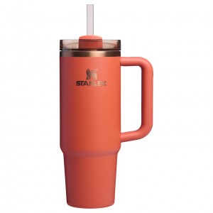 Stanley The Pumpkin Spice Quencher H2.O FlowState™ Tumbler I 30 OZ Spice | NWK154982