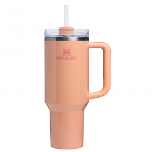 Stanley The Quencher H2.0 FlowState™ Tumbler | 40 OZ Bellini Shimmer | XAF821654
