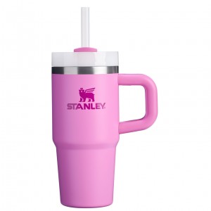 Stanley The Quencher H2.O FlowState™ Tumbler with Handle & Straw | 14 OZ Peony | MBI250968