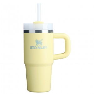 Stanley The Quencher H2.O FlowState™ Tumbler with Handle & Straw | 14 OZ Pomelo | VHX371025