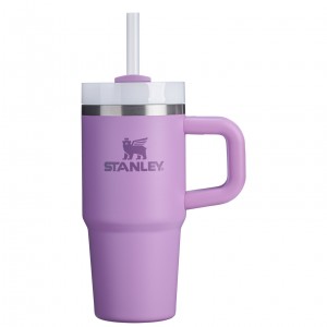 Stanley The Quencher H2.O FlowState™ Tumbler with Handle & Straw | 14 OZ Lilac | OAC961427