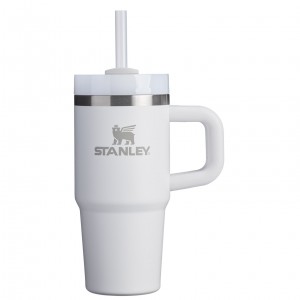 Stanley The Quencher H2.O FlowState™ Tumbler with Handle & Straw | 14 OZ Frost | BPC618429