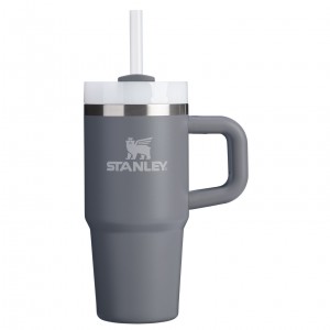 Stanley The Quencher H2.O FlowState™ Tumbler with Handle & Straw | 14 OZ Stone | PLE938067