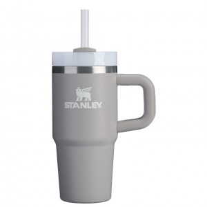 Stanley The Quencher H2.O FlowState™ Tumbler with Handle & Straw | 14 OZ Ash | DPS517496