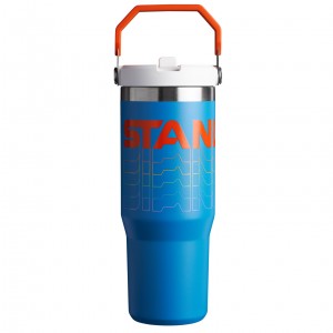 Stanley The Reverb IceFlow™ Flip Straw Tumbler I 30 oz Blankyt | AON320865