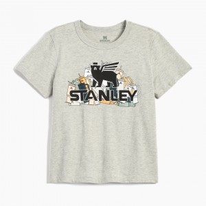 Stanley The Thirsty Women's Boxy Tee Šedé | DNA405318