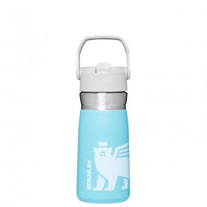 Stanley The Wild Imagination IceFlow Flip Straw Water Bottle | 17 OZ Pool Cub | RSX697830