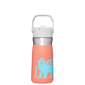 Stanley The Wild Imagination IceFlow Flip Straw Water Bottle | 17 OZ Grapefruit Cub | PLC784156